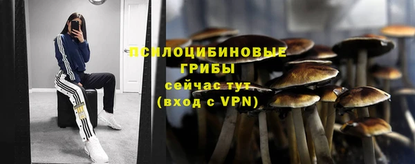 гашиш Снежногорск