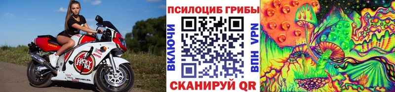 ссылка на мегу зеркало  Махачкала  Псилоцибиновые грибы GOLDEN TEACHER 